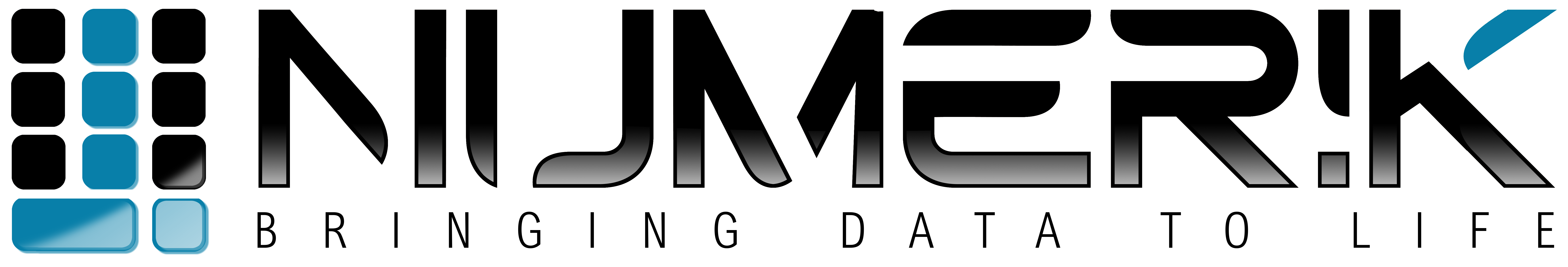 NUMERIK — Bringing Data To Life